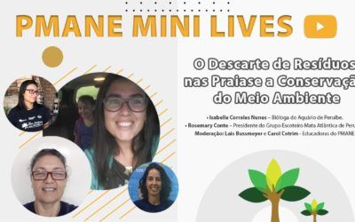 PMANE MINI LIVES: O Descarte de Resíduos nas Praias e a Conservação do Meio Ambiente