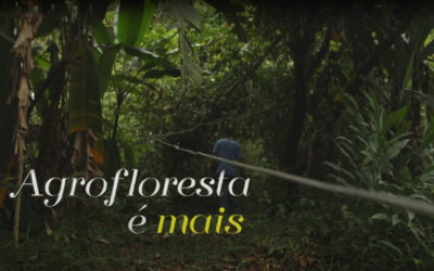 Documentário “Agrofloresta é mais”