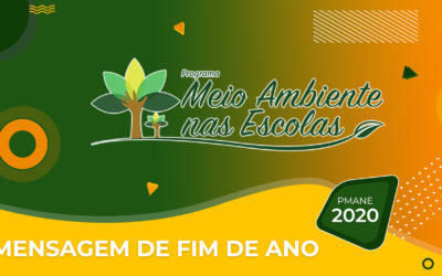 Mensagem de Fim de Ano – PMANE 2020