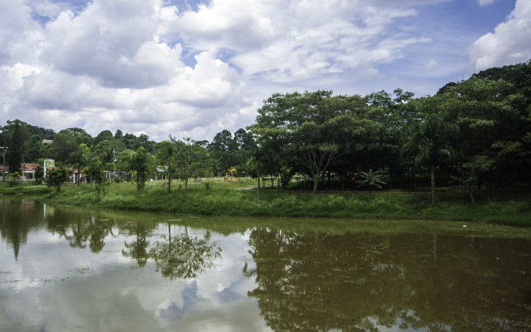 PMANE participa da celebração do Dia da Floresta e o Dia da Água com “Sombra e Água Fresca”