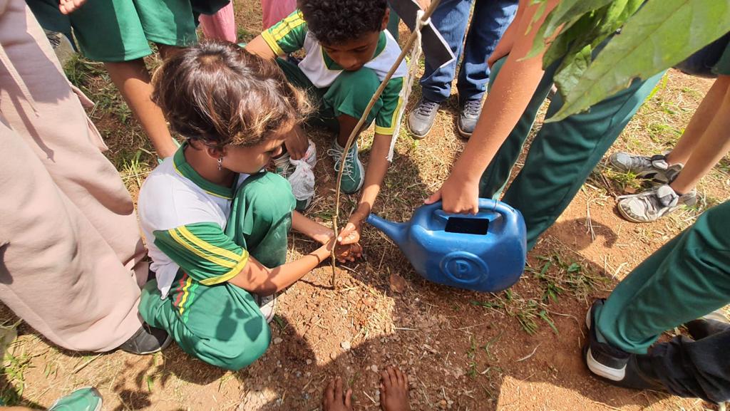 Dia da Árvore é celebrado com plantio de mudas em escolas de Embu das Artes