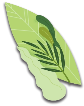 Grafismo planta 1