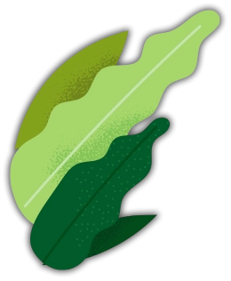 Grafismo planta 2